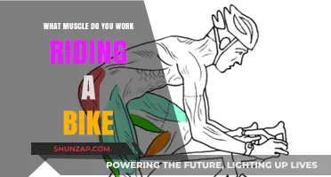 Pedaling Power: Unlocking the Muscles Engaged While Riding a Bike