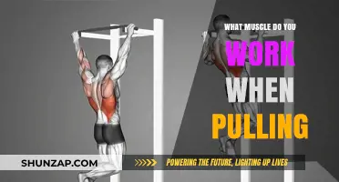 Muscles Engaged During Pulling Exercises: A Comprehensive Guide