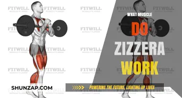 Zizzera Workouts: Targeting Muscles for Strength and Stability