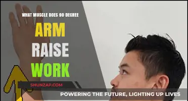Effective 90-Degree Arm Raise: Targeted Muscles and Benefits Explained