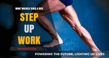 Box Step-Ups: Targeting Glutes, Quads, and Hamstrings for Lower Body Strength