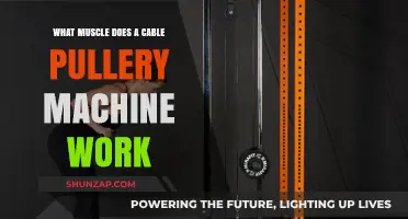 Cable Pulley Machine: Target Muscles and Workout Benefits Explained