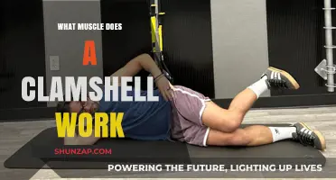 Clamshell Exercise: Targeting Glutes, Hips, and Core Muscles Effectively