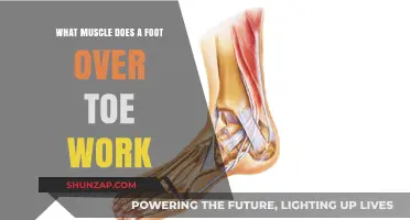 Foot Over Toe: Targeting Muscles for Strength and Stability