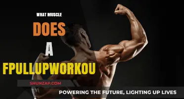 Mastering Pull-ups: Targeting Back, Shoulders, and Arm Muscles