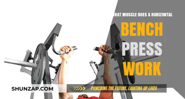Horizontal Bench Press: Target Muscles and Workout Benefits Explained