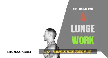 Lunges: Targeting Quadriceps, Glutes, Hamstrings, and Core Muscles Effectively