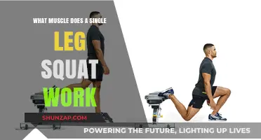 Single Leg Squat Muscles: Unlocking Lower Body Strength and Stability