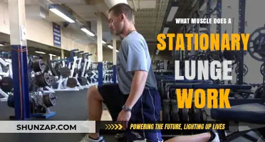 Stationary Lunges: Targeting Key Muscles for Strength and Stability