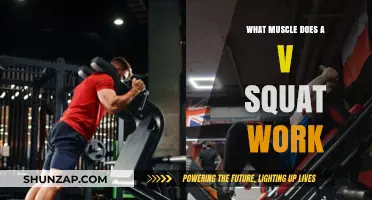 V Squat Benefits: Targeted Muscles and Effective Workout Techniques