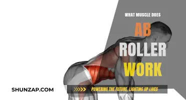 Ab Roller Workout: Targeting Core Muscles for Strength and Stability