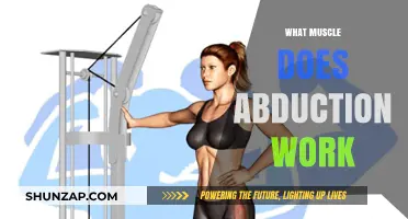 Abduction Exercises: Target Muscles and Benefits Explained