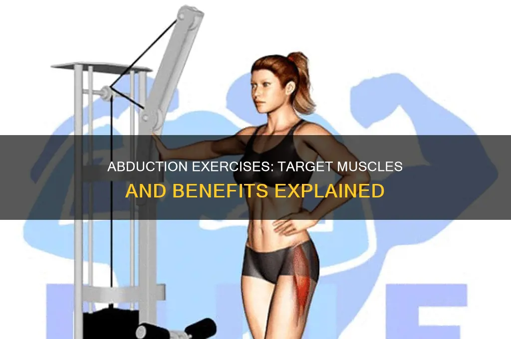 what muscle does abduction work