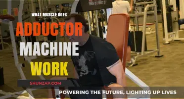 Adductor Machine Workout: Targeting Inner Thigh Muscles for Strength and Tone