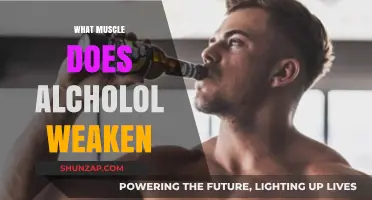 Alcohol's Impact: Weakening Your Muscles