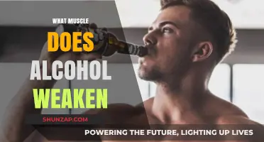 Alcohol's Impact: Weakened Muscles and More