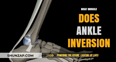 Ankle Inversion: Calf Muscle Activation and Strengthening