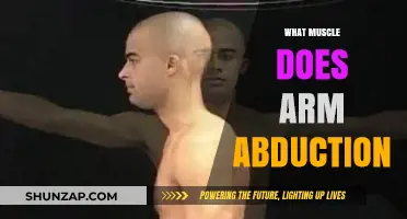 Understanding Arm Abduction: Key Muscles Involved in Shoulder Movement