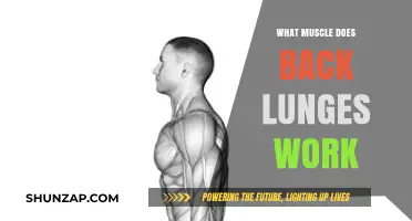 Back Lunges: Target Muscles, Benefits, and Proper Form Explained