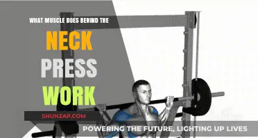 Behind the Neck Press: Targeted Muscles and Effective Workout Benefits