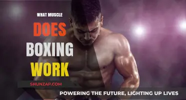 Boxing's Full-Body Benefits: Muscles Targeted in Every Punch and Move