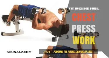 Bumbel Chest Press: Target Muscles and Effective Workout Benefits