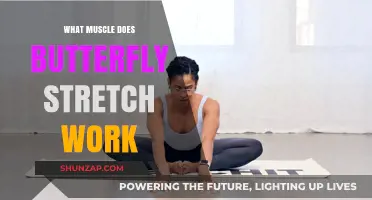 Butterfly Stretch Benefits: Targeting Inner Thighs and Groin Muscles Effectively