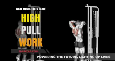 Cable High Pull: Targeted Muscles and Effective Workout Benefits