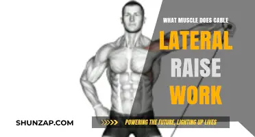 Cable Lateral Raise: Targeted Muscles and Benefits Explained