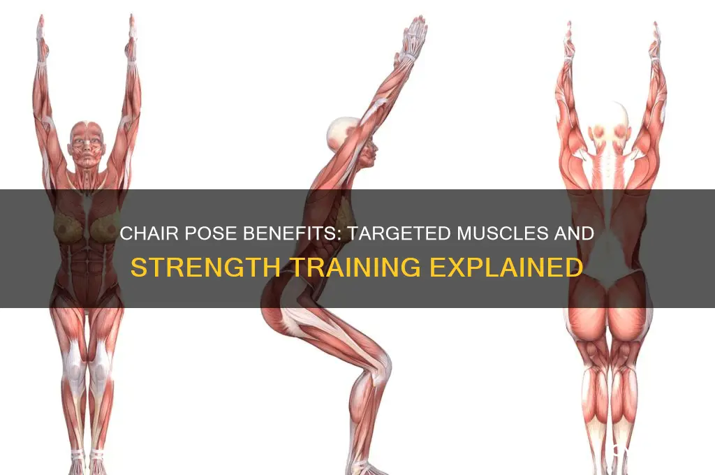 what muscle does chair pose work