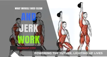 Clean and Jerk: Target Muscles and Full-Body Benefits Explained