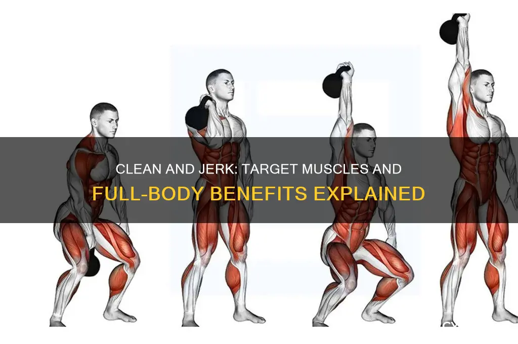 what muscle does clean and jerk work