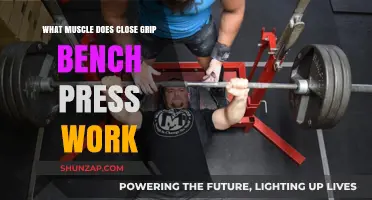 Close Grip Bench Press: Target Muscles and Benefits Explained