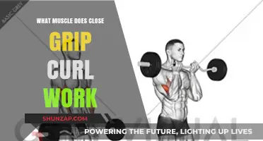 Close Grip Curls: Targeting Forearms, Biceps, and Brachialis Muscles