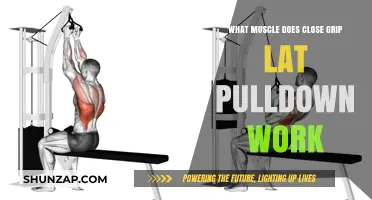 Close Grip Lat Pulldown: Targeted Muscles and Workout Benefits