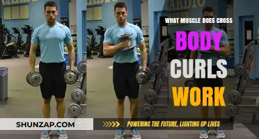 Cross Body Curls: Targeting Muscles for Stronger, More Defined Arms