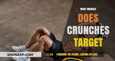 Crunches: Targeting Your Abs and Core
