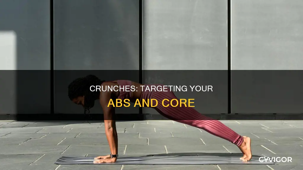 what muscle does crunches target