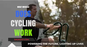 Cycling's Muscle Benefits: Core, Legs, and Beyond Explained