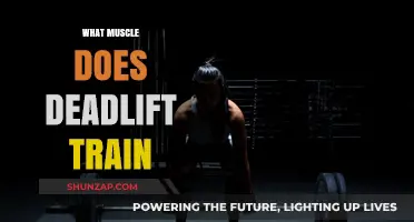 Deadlifts: Training Your Back, Shoulders, and Core