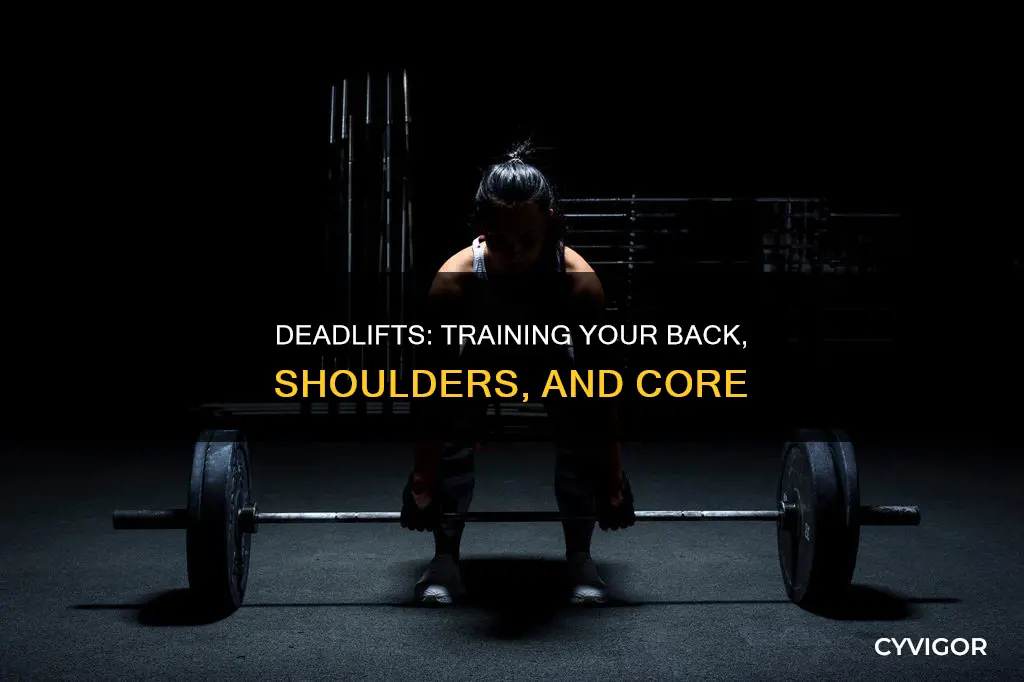 what muscle does deadlift train