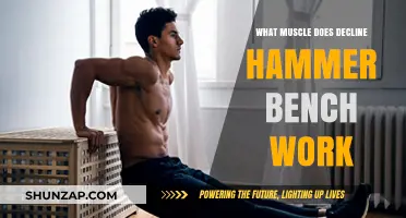 Decline Hammer Bench: Targeted Muscles and Effective Workout Benefits