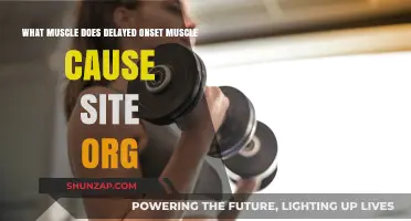 Delayed Onset Muscle Soreness: Targeted Muscles and Causes Explained