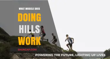Hill Training: Targeting Key Muscles for Strength and Endurance