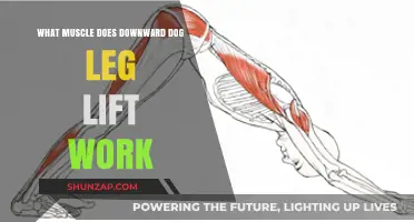Downward Dog Leg Lift: Targeted Muscles and Benefits Explained