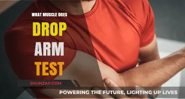 Drop Arm Test: Identifying Affected Muscles and Shoulder Function