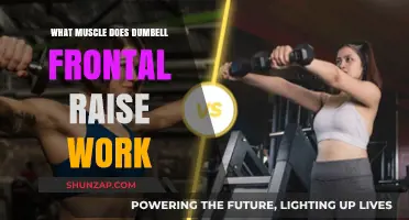 Dumbbell Frontal Raise: Targeting Shoulders, Deltoids, and Upper Body Strength