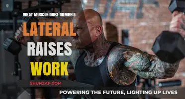 Dumbbell Lateral Raises: Targeting Your Shoulder Muscles for Strength