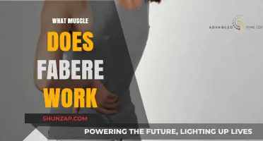 Fabere Test: Targeted Muscles and Hip Joint Mobility Explained