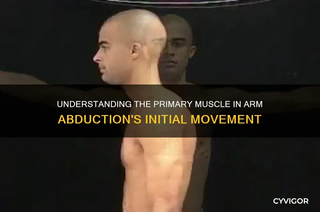 what muscle does first part of arm abduciton